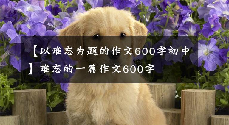 【以难忘为题的作文600字初中】难忘的一篇作文600字