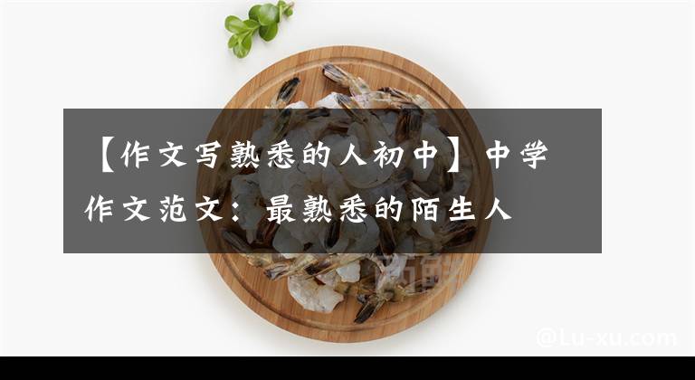 【作文写熟悉的人初中】中学作文范文：最熟悉的陌生人