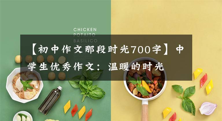 【初中作文那段时光700字】中学生优秀作文：温暖的时光