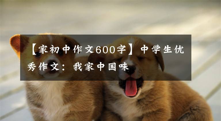 【家初中作文600字】中学生优秀作文：我家中国味