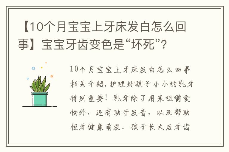 【10个月宝宝上牙床发白怎么回事】宝宝牙齿变色是“坏死”?关于乳牙10个小秘密,一定有你不知道的