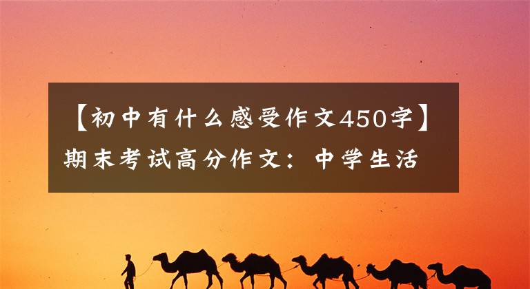 【初中有什么感受作文450字】期末考试高分作文：中学生活的酸甜苦辣