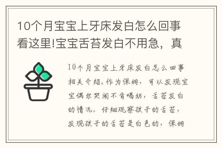 10个月宝宝上牙床发白怎么回事看这里!宝宝舌苔发白不用急,真相可能是这样的