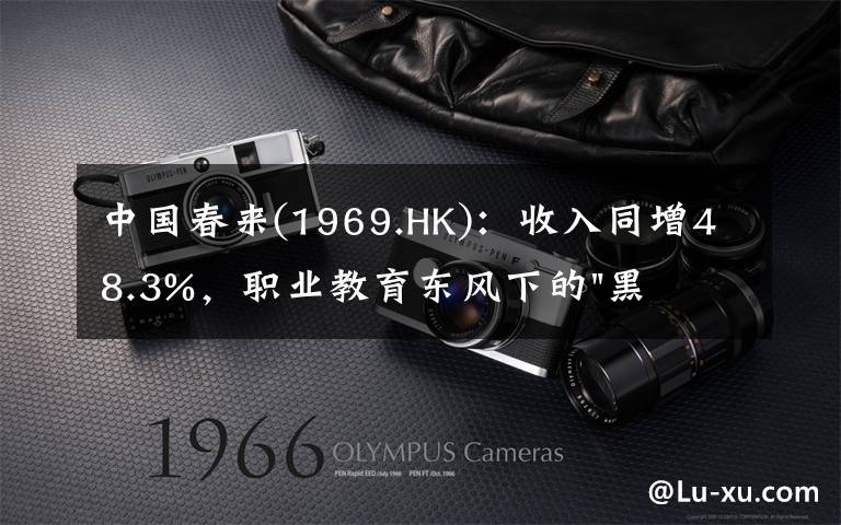 中国春来(1969.HK):收入同增48.3%,职业教育东风下的"黑马