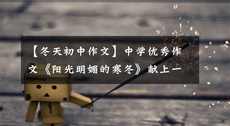 【冬天初中作文】中学优秀作文《阳光明媚的寒冬》献上一点善意，寒冬温暖