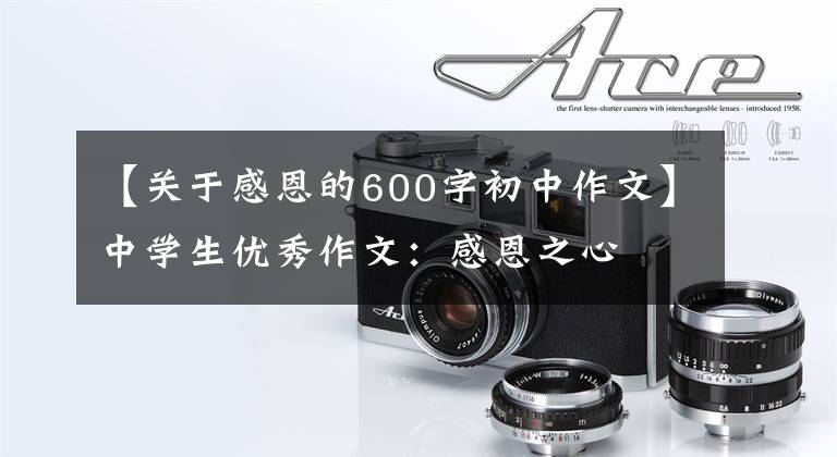 【关于感恩的600字初中作文】中学生优秀作文:感恩之心
