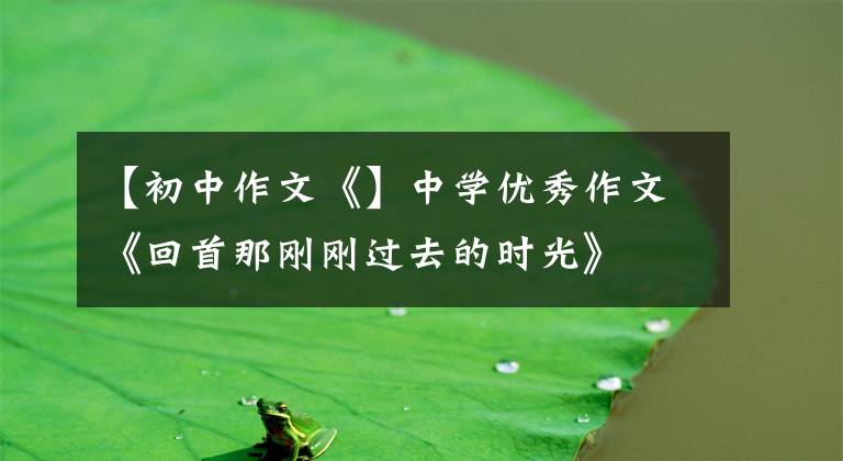 【初中作文《】中学优秀作文《回首那刚刚过去的时光》