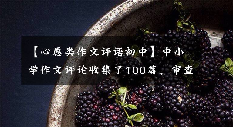 【心愿类作文评语初中】中小学作文评论收集了100篇,审查作文不再担心