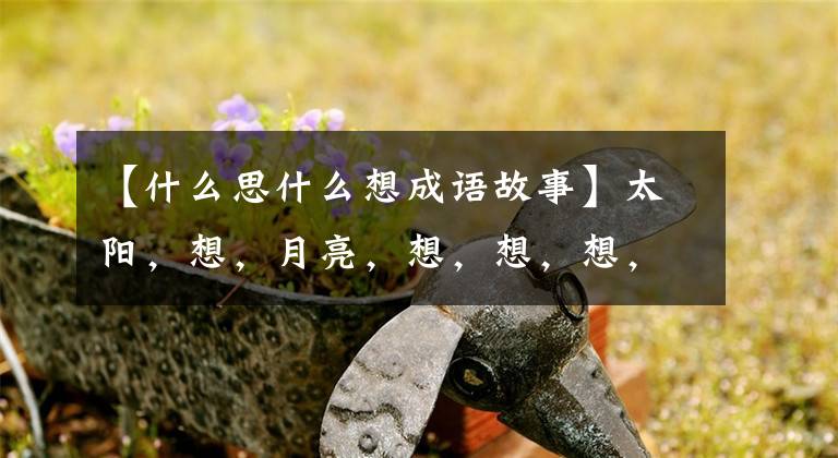 【什么思什么想成语故事】太阳，想，月亮，想，想，想，想，想，想，想，想，想。