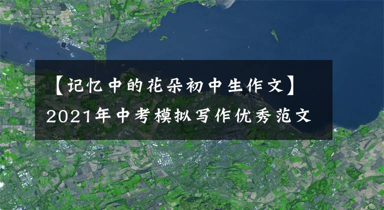 【记忆中的花朵初中生作文】2021年中考模拟写作优秀范文《开在记忆里的花朵》