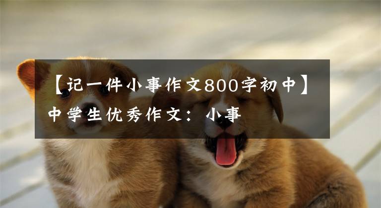 【记一件小事作文800字初中】中学生优秀作文:小事