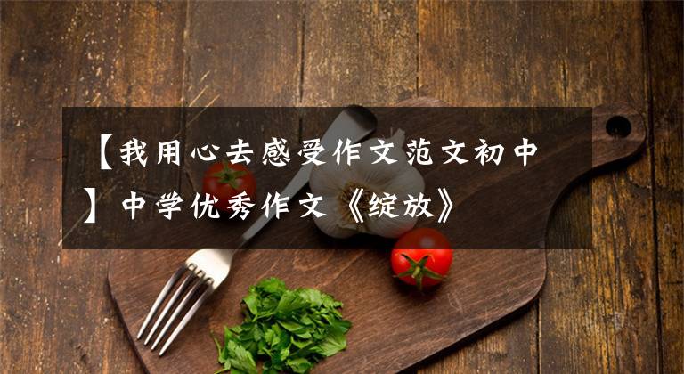 【我用心去感受作文范文初中】中学优秀作文《绽放》