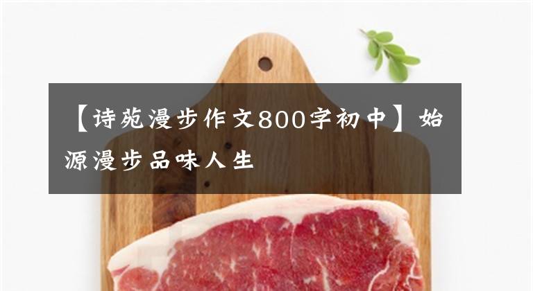 【诗苑漫步作文800字初中】始源漫步品味人生