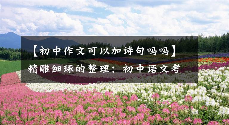 【初中作文可以加诗句吗吗】精雕细琢的整理:初中语文考试和美文很相配,孩子的作文得满分不是梦。