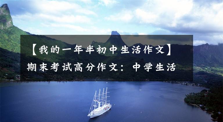 【我的一年半初中生活作文】期末考试高分作文:中学生活的酸甜苦辣