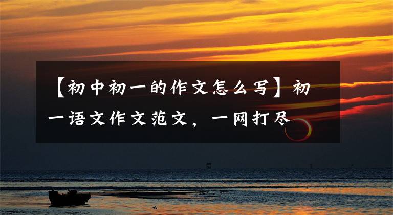 【初中初一的作文怎么写】初一语文作文范文,一网打尽