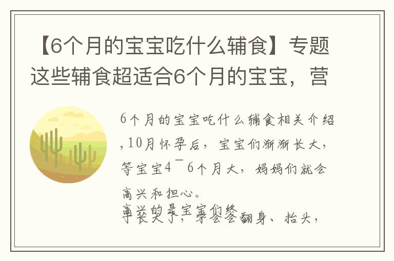【6个月的宝宝吃什么辅食】专题这些辅食超适合6个月的宝宝,营养又美味,新手爸妈再也不用愁了