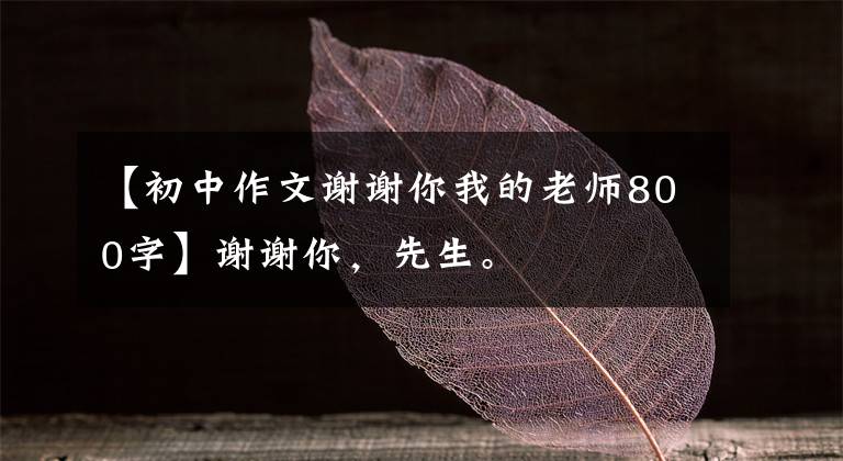 【初中作文谢谢你我的老师800字】谢谢你,先生。