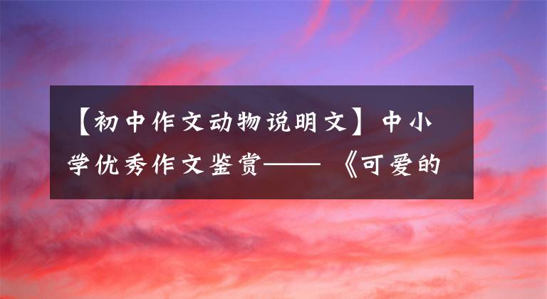 【初中作文动物说明文】中小学优秀作文鉴赏—— 《可爱的小仓鼠》 《我的乐园》