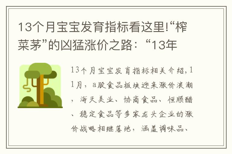 13个月宝宝发育指标看这里!“榨菜茅”的凶猛涨价之路:“13年13涨”,成长天花板或至?