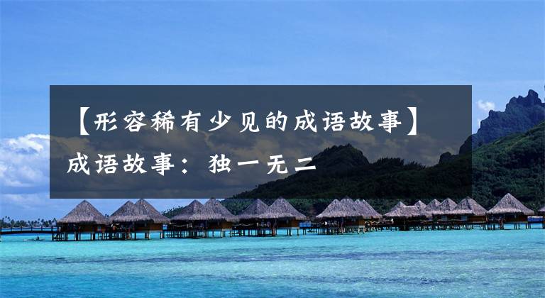 【形容稀有少见的成语故事】成语故事:独一无二
