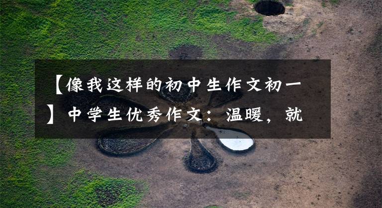 【像我这样的初中生作文初一】中学生优秀作文：温暖，就这么简单