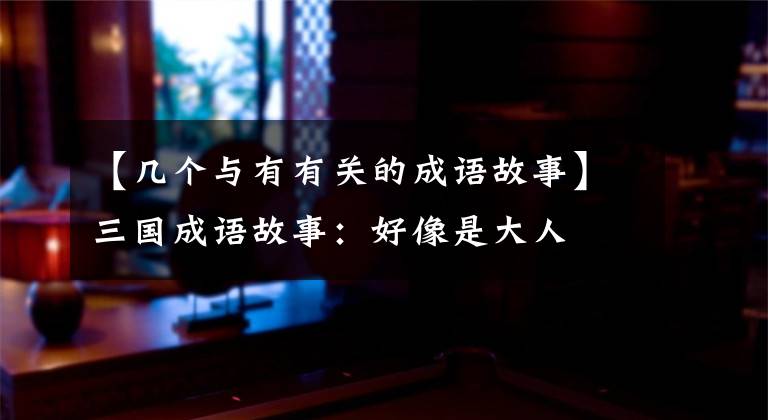 【几个与有有关的成语故事】三国成语故事:好像是大人