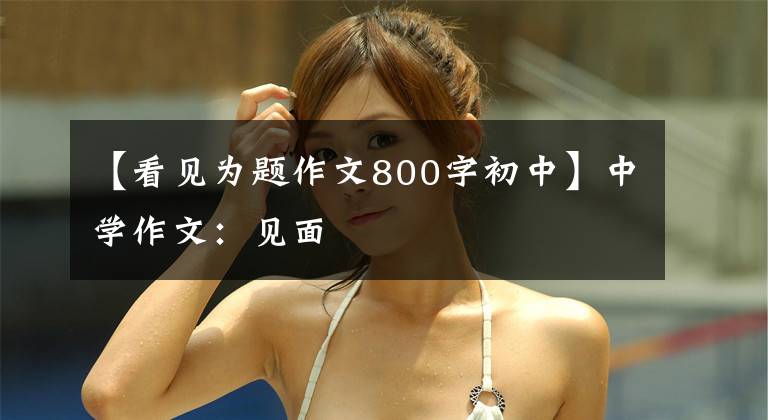 【看见为题作文800字初中】中学作文:见面
