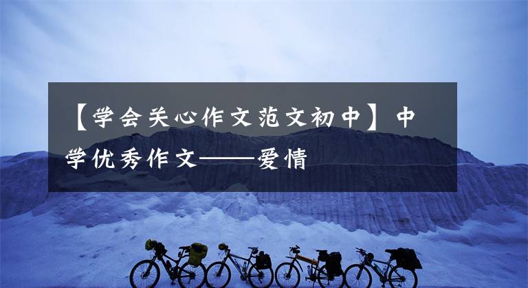 【学会关心作文范文初中】中学优秀作文——爱情