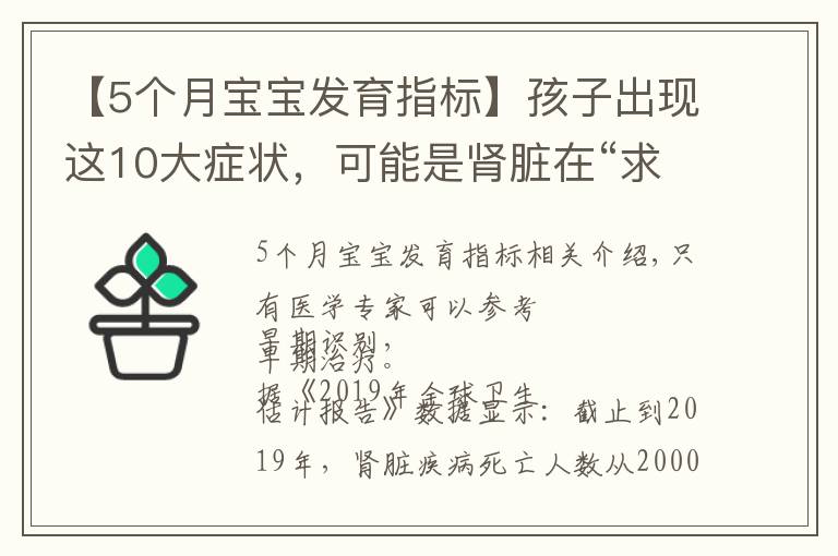 【5个月宝宝发育指标】孩子出现这10大症状,可能是肾脏在“求救”