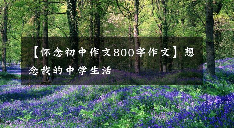 【怀念初中作文800字作文】想念我的中学生活