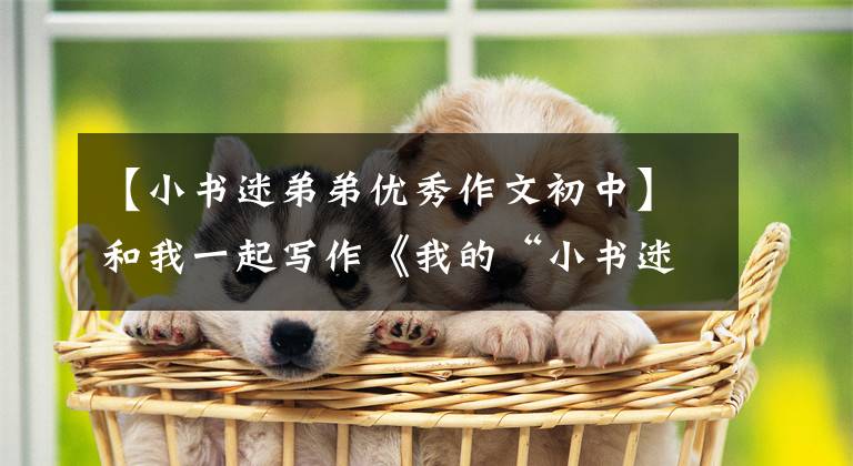 【小书迷弟弟优秀作文初中】和我一起写作《我的“小书迷”朋友》