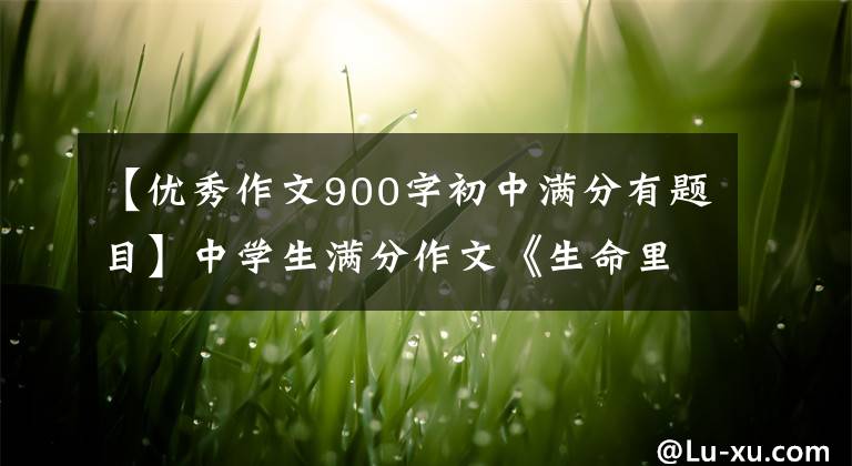 【优秀作文900字初中满分有题目】中学生满分作文《生命里的光》