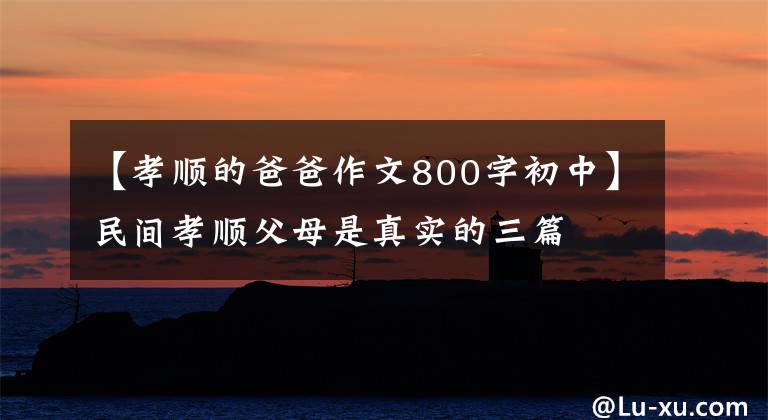 【孝顺的爸爸作文800字初中】民间孝顺父母是真实的三篇