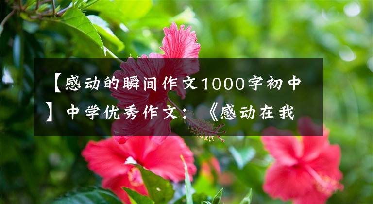 【感动的瞬间作文1000字初中】中学优秀作文：《感动在我身边》范文(3篇)