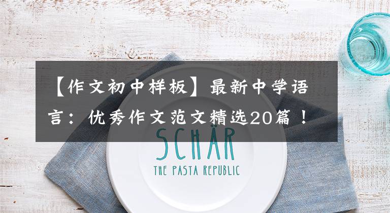 【作文初中样板】最新中学语言:优秀作文范文精选20篇!包括评论,给孩子上一课