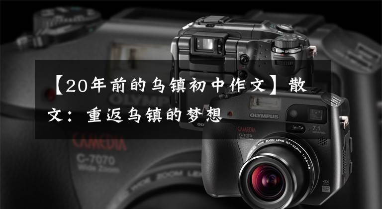 【20年前的乌镇初中作文】散文:重返乌镇的梦想