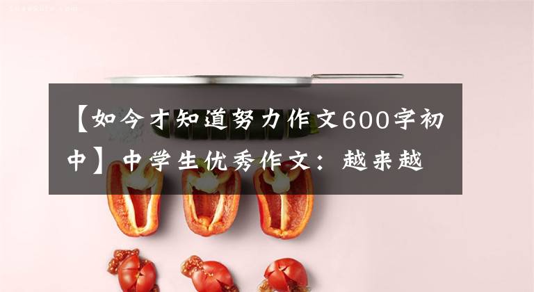 【如今才知道努力作文600字初中】中学生优秀作文:越来越努力的我