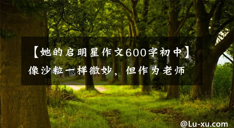 【她的启明星作文600字初中】像沙粒一样微妙，但作为老师的她却是学生心中的新星