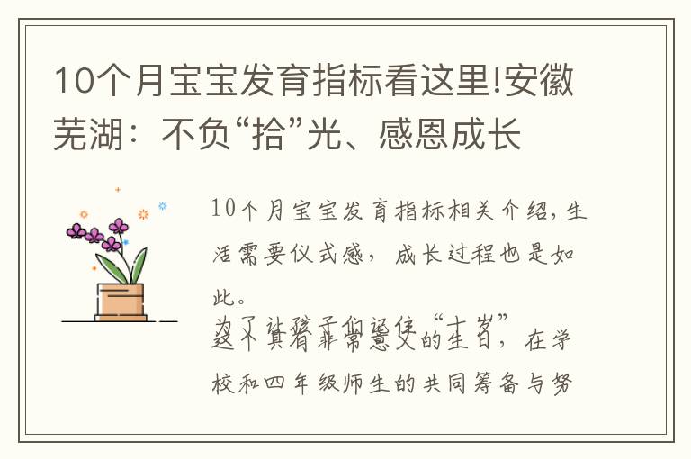 10个月宝宝发育指标看这里!安徽芜湖:不负“拾”光、感恩成长!不一样的“十岁”成长礼