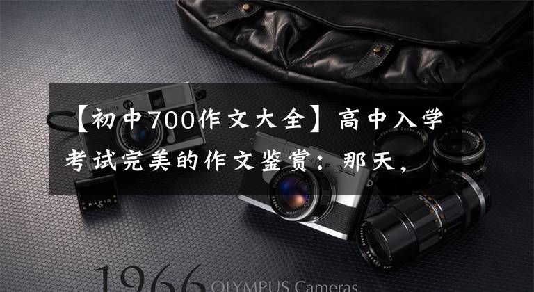 【初中700作文大全】高中入学考试完美的作文鉴赏:那天,阳光真的很好