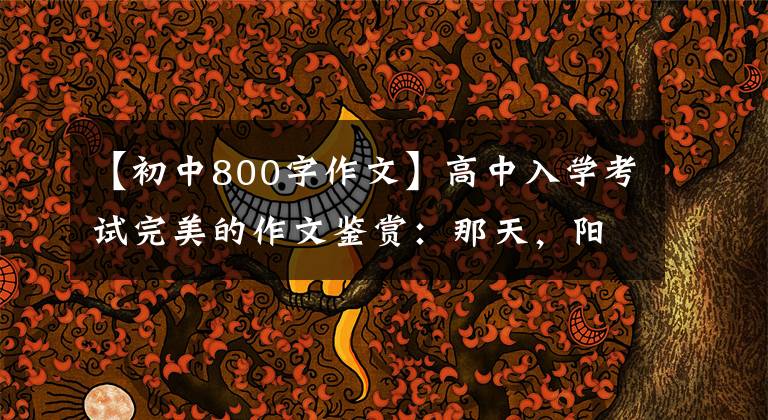 【初中800字作文】高中入学考试完美的作文鉴赏:那天,阳光真的很好