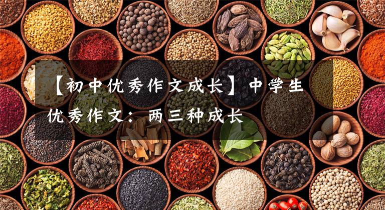 【初中优秀作文成长】中学生优秀作文:两三种成长