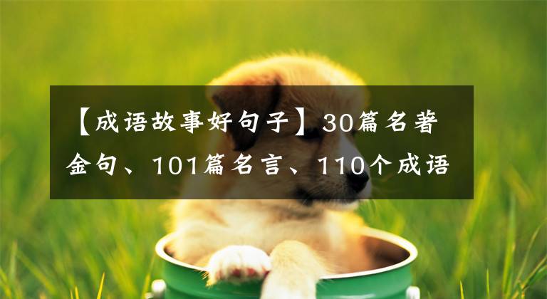 【成语故事好句子】30篇名著金句、101篇名言、110个成语故事用于给作文适当加分。