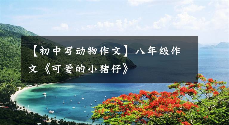 【初中写动物作文】八年级作文《可爱的小猪仔》