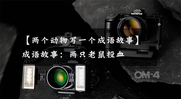 【两个动物写一个成语故事】成语故事:两只老鼠投血