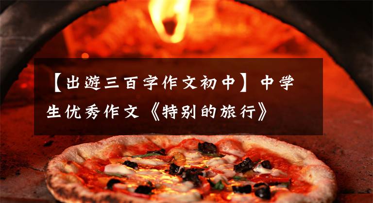 【出游三百字作文初中】中学生优秀作文《特别的旅行》