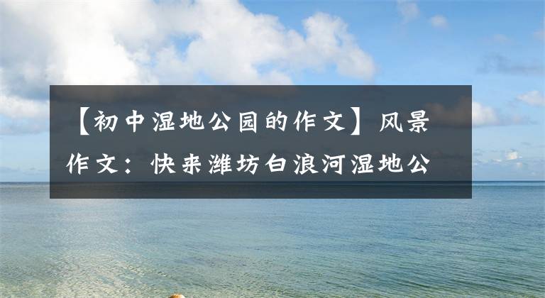 【初中湿地公园的作文】风景作文:快来潍坊白浪河湿地公园。风景像画一样,也很热闹。