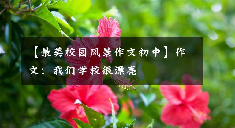 【最美校园风景作文初中】作文:我们学校很漂亮