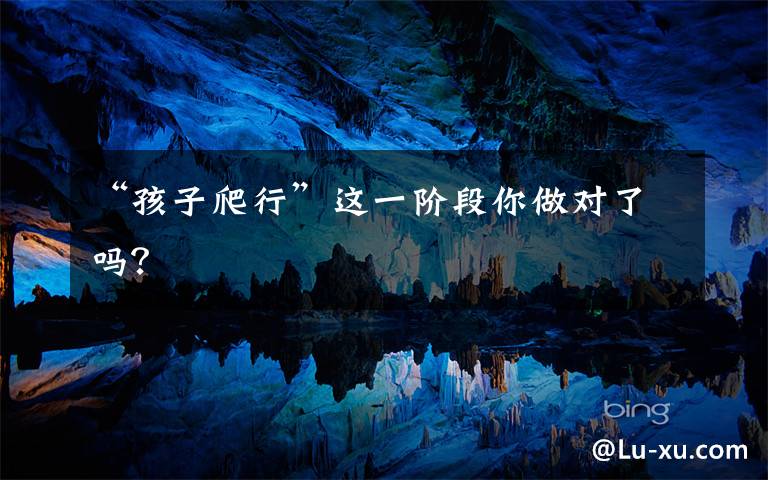 “孩子爬行”这一阶段你做对了吗?